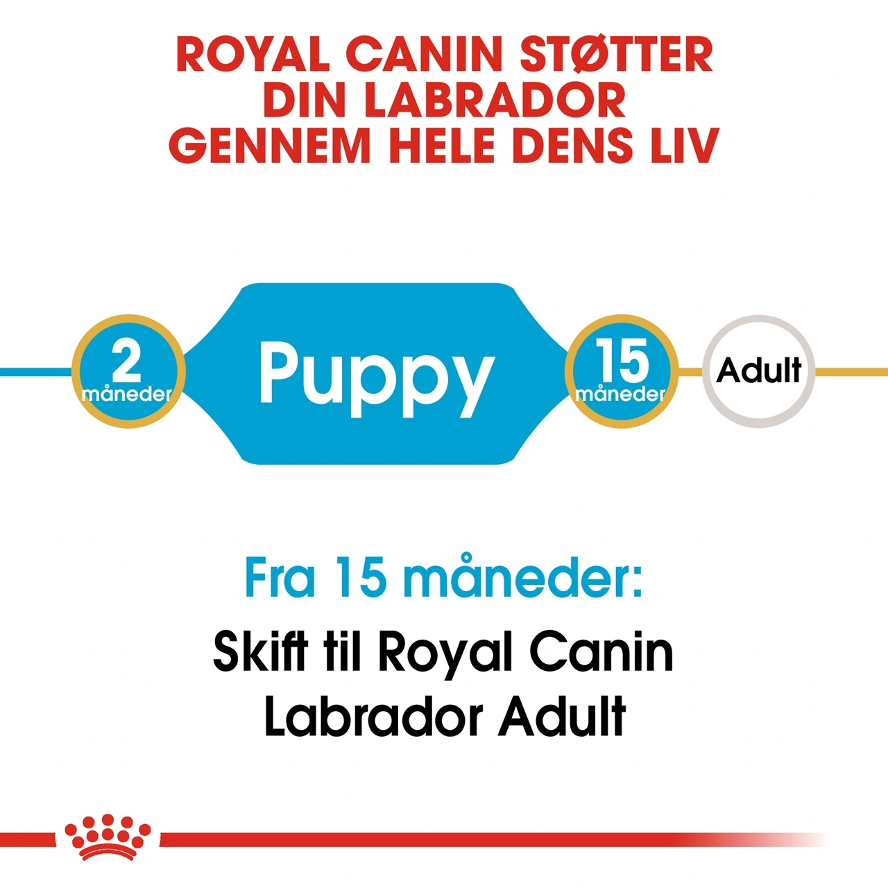 Royal Canin Labrador Retriever Puppy 12 kg - tørfoder til hvalpe
